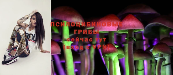 амфетамин Алексеевка