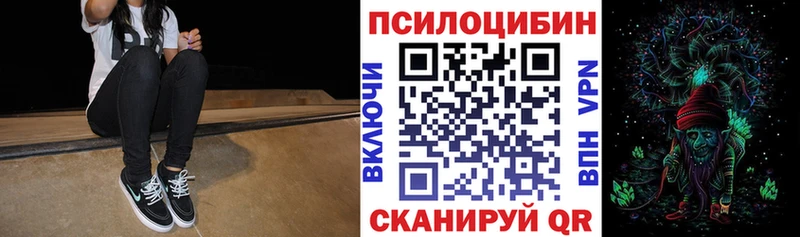магазин продажи наркотиков  Сельцо  Галлюциногенные грибы GOLDEN TEACHER 